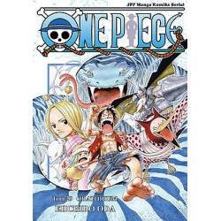 One Piece tom 29